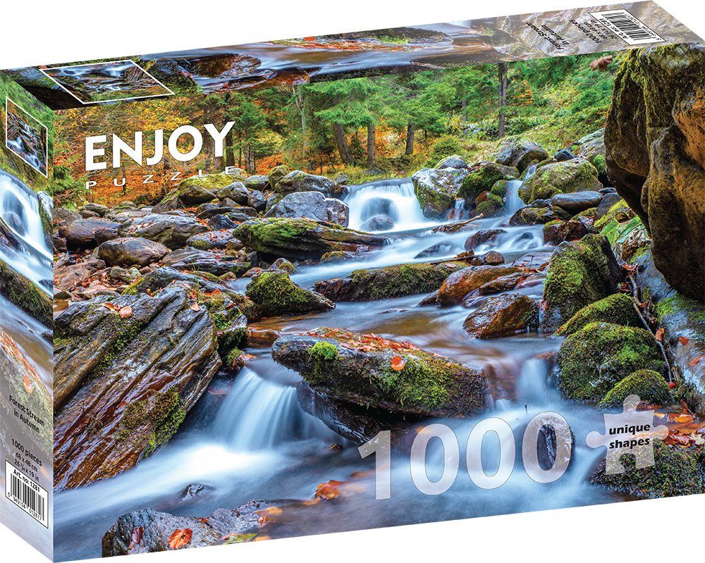 Enjoy Puzzle Forest Stream in Autumn Puzzle (1000 pieces)