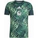 ADIDAS PERFORMANCE Functioneel shirt 'Mexiko 26 Pre-Match' appel / donkergroen / wit