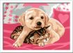 Ravensburger CreArt 28031 - Best Friends - Schilderij van Numbers Hond en Kat voor kinderen vanaf 9 jaar, schilderset met lijst, penseel en acrylverf, cadeau voor meisjes en jongens