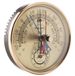 Max Min Thermometer en Hygrometer - Ideale broeikasthermometer en vochtigheidsmeter voor het bewaken van maximale en minimale temperaturen en vochtigheid, eenvoudig aan de muur te monteren