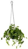 Flair Flower Kunstst, bloemen Pothohangampel, kunstplant, polyester, kunststof, metaal, groen, 28 x 28 x 60 cm