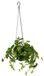 Flair Flower Kunstst, bloemen Pothohangampel, kunstplant, polyester, kunststof, metaal, groen, 28 x 28 x 60 cm