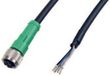 Câble de connexion E+E 5 broches douille M12 - fil volant 10 m Blanc