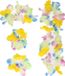 Boland Hawaii krans/slinger set - Blauw - Polyester