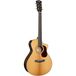 Cort GOLD MC6 Ovangkol Natural guitare folk électro-acoustique avec étui semi rigide