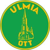 ULMIA Streichmaß Alu-Line 200mm L.220mm Alu - 0029A