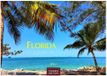 Florida Casares Fine Art Edition Florida Kalender 2027 - Wandkalender | Fotokalender Nordamerika 24x35cm