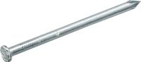 Intergard Draadnagel spijkers 2.7x60mm blank platkop per kg