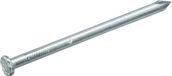 Intergard Draadnagel spijkers 2.7x60mm blank platkop per kg