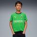 PUMA Borussia Mönchengladbach 25/26 uitshirt, Groen/Wit, Maat 7-8Y