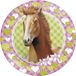 Haza-Witbaard Paarden themafeest wegwerpbordjes - 16x - 23 cm