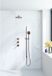 Fortifura Nebbio opbouw regendoucheset – 35 cm gebogen wandarm – 1-stands ronde handdouche – koper geborsteld