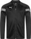 PUMA teamFINAL Trainingsjacke Herren puma black/smoked pearl/puma silver XXL