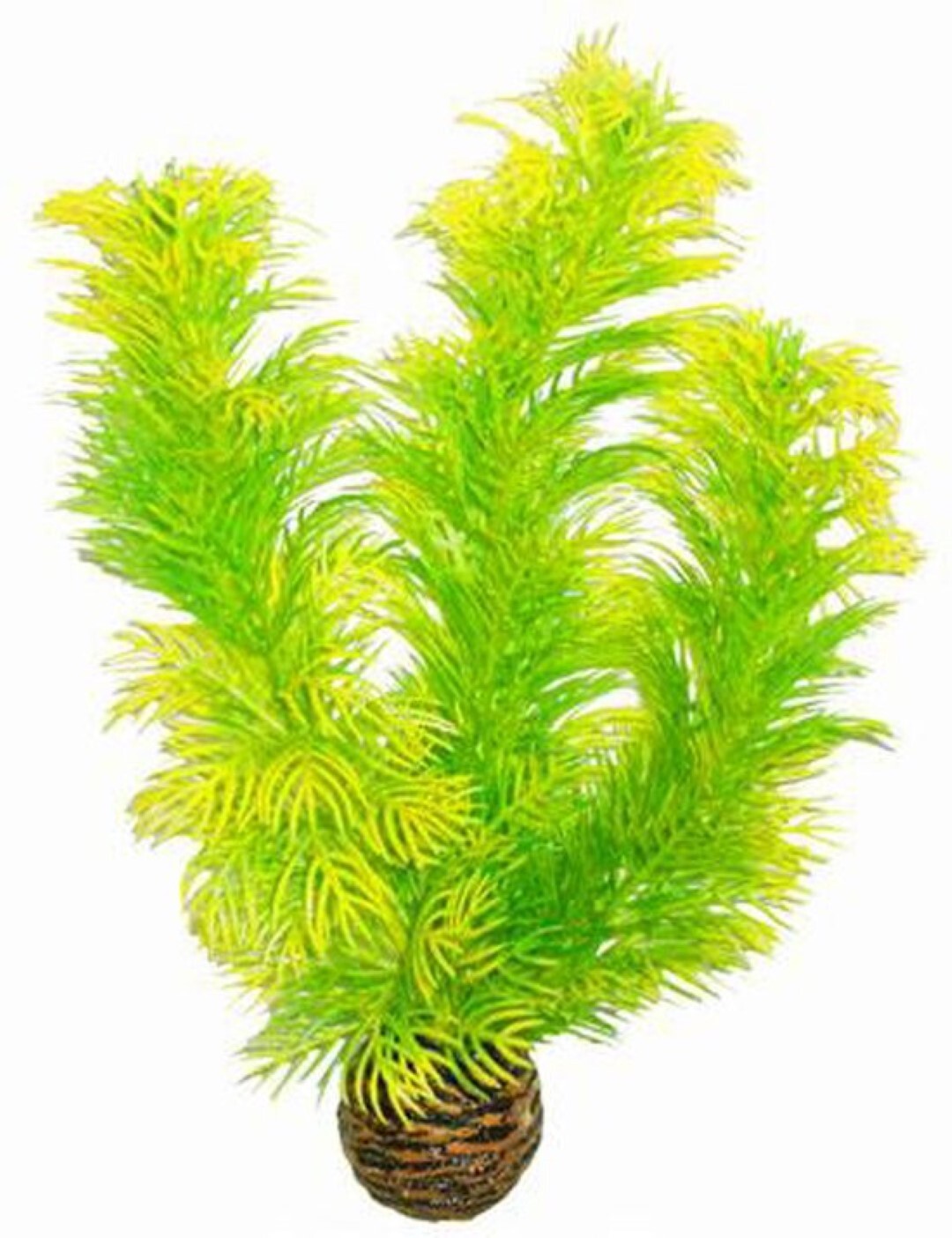 SuperFish easy plants middel nr. 5, van plastic 20 cm - 1 ST