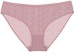 Triumph Tai-Slip Red Label Triumph Signature Sheer