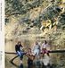 Wild Paul McCartney Wild Life (Half Speed Master Edition) (LP)