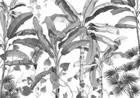 Komar Fotobehang - Croissances Monochrome 400x280cm - Vliesbehang
