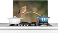 KitchenYeah Spatscherm keuken 70x50 cm - Roodborstje - Vogel - Natuur - Aluminium