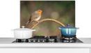 KitchenYeah Spatscherm keuken 70x50 cm - Roodborstje - Vogel - Natuur - Aluminium