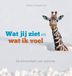 Wat Uitgeverij Pica Wat jij ziet en wat ik voel