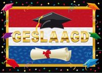 Bellatio Decorations Deurposter geslaagd Nederlandse vlag 59 x 42 cm - 2x stuks