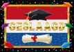 Bellatio Decorations Deurposter geslaagd Nederlandse vlag 59 x 42 cm - 2x stuks