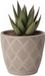 Form Plastic Plantenpot/bloempot New Age - kunststof - beige - D15 x H14 cm - met opvang schotel - rond