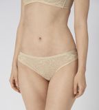 Triumph Amourette Charm Brazilian - Creamy Dream