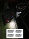 Goingfast Audi Interieurverlichting, 4 LED-lampen, voor Audi A6 4F C6 Avant, modeljaren 2004-2011