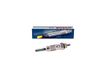 BOSCH 0250202001 gloeibougie