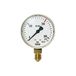 Riegler Manometer neutraal, metalen behuizing, voor flesdruk 200 bar, aansluiting radiaal onder, G 1/4, meetbereik 0-315 bar, Ø 63 mm