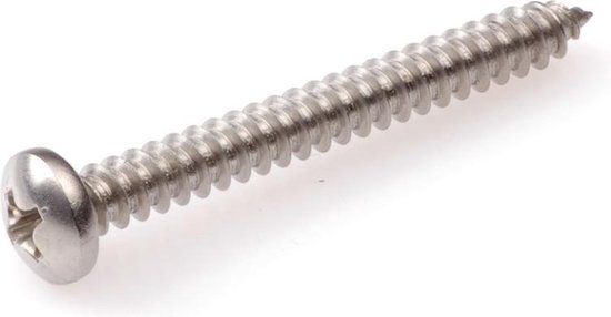 Hoenderdaal Fasteners Hoenderdaal zelftappende plaatschroeven RVS A2 PH-2 cilinderkop 4,8 x 45 mm 200 stuks