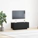 Maison Exclusive - meuble TV, placage chêne noir, 100 x 35 x 40 cm, bois composite