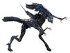 Figurine Alien Koningin Ultra Deluxe, 38 cm, PVC, objet de collection