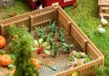 Faller - 1:87 Preiplanten 20 St. (5/22)