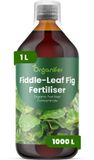 Organifer Engrais Liquide Pour Plante à Feuilles de Violette - 1 L