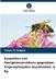 Exposition Verlag Unser Wissen Exposition von Honigbienenvölkern gegenüber Organophosphor-Insektiziden in Eg