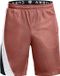 Under Armour Curry Splash 9'' Shorts Red Fusion-M (US MD)