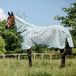 Horseware Newmarket Plus Couverture anti-mouches - Witney Dynasty - 155