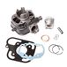 Cilinderkit Maxtuned Cilinderkit Maxtuned standaard incl. cilinderkop 50cc voor Peugeot liggend Ludix LC