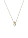 Abrazi Julia Ketting
