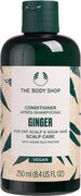 Ginger Scalp Care Conditioner 250ml