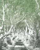 Komar Fotobehang - Alley Graphite 200x250cm - Vliesbehang