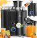 Kesser Slowjuicer - Sapcentrifuge voor Fruit en Groenten 1100W Sap Juicer met 2000ml Pulpcontainer en 1000ml sapreservoir - Zwart