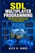 SDL Multiplayer Programming: Build Networked Experiences with Communication, Synchronization, and Shared Worlds