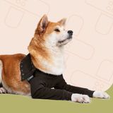 Suitical Dubbele Herstel Mouwen Hond Zwart XL