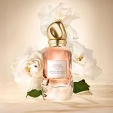 Donna Karan Cashmere & Rose Absolu / 100 ml / Women