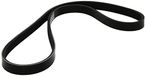 Dayco 4PK835 V-riem Poli V