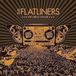 The Flatliners The Great Awake (LP)