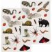 Rex London Tatouage enfant Rex London temporaires Nature Trail (x2)
